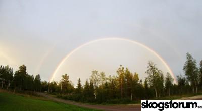 1534800681_aug2018rainbowc.jpg