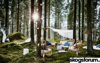 1542810374_ikea-forests.jpg