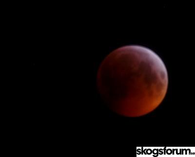 1548063048_jan2019bloodmoon.jpg