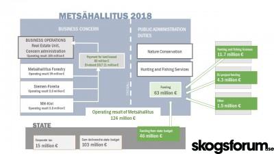 1552645001_metsahallitus_infograph_2-1.jpg