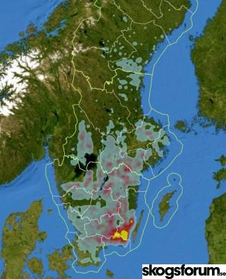 1571903099_barkborrekarta-sverige-2019.jpg