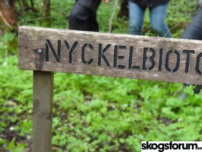 1573550701_nyckelbiotop-skylt.jpg