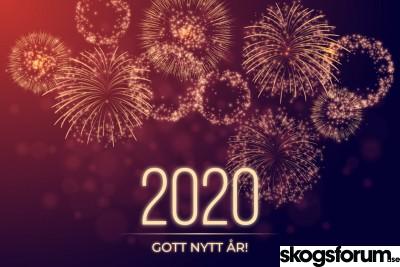 1577803958_gott-nytt-ar-2020-skogsforum.jpg