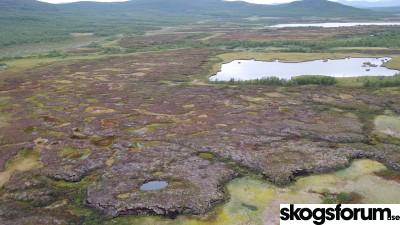 1591863618_myr-palsa-permafrost.jpg