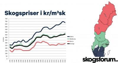 1598515156_pris-skogsmark-h1-2020-ludvig.jpg