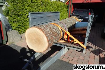 1599422555_2020_09_06_kompisens_eikestokk_(1).jpg