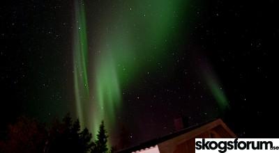 1600061999_sept2020aurorab.jpg