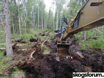 1606997935_skogsgravning-gravmaskin-skog.jpg