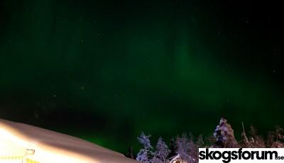 1611010800_jan2021aurora18c.jpg