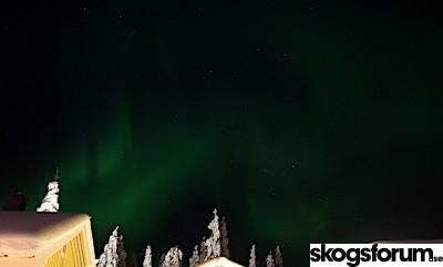 1611010800_jan2021aurora18b.jpg