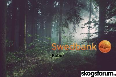 1611045181_swedbankrobur.jpg