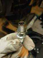 Skogsartikel bild intro