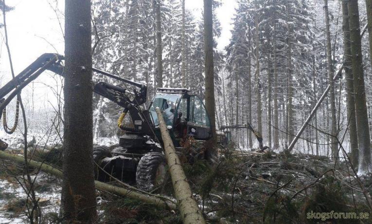 Träd krossat ruta på skördare